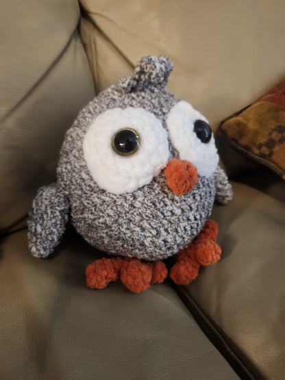 Dilbert the Owlet